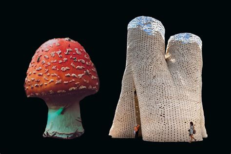  Mycelium: Un matériau biosourcé révolutionnaire pour l'architecture durable et le packaging innovant!