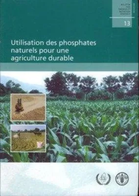  Phosphates Pour L’Agriculture De Précision Et La Fabrication De Verrerie Résistante !