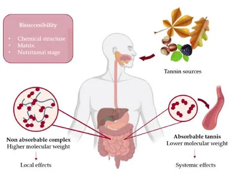 Tannin Extraction: Optimizing Bioavailability and Enhancing Food Functionality?